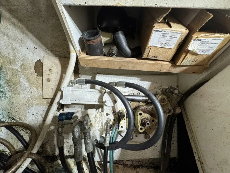 Slide: The Image of DeFever 49 CPMY 1989 - 5685060