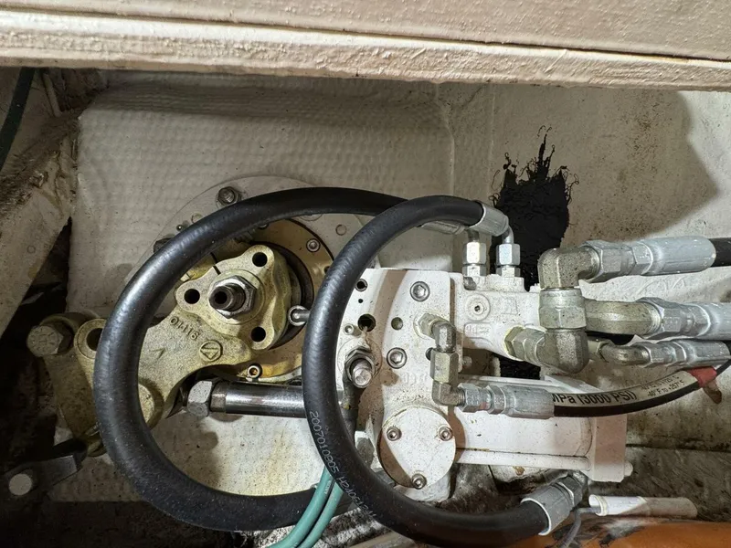 Slide: The Image of DeFever 49 CPMY 1989 - 5685061