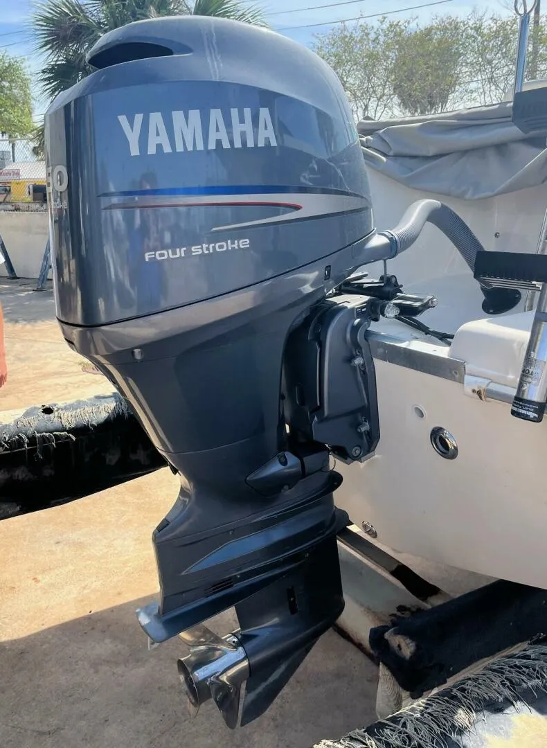 Slide: The Image of Cobia 21 2007 - 5502053