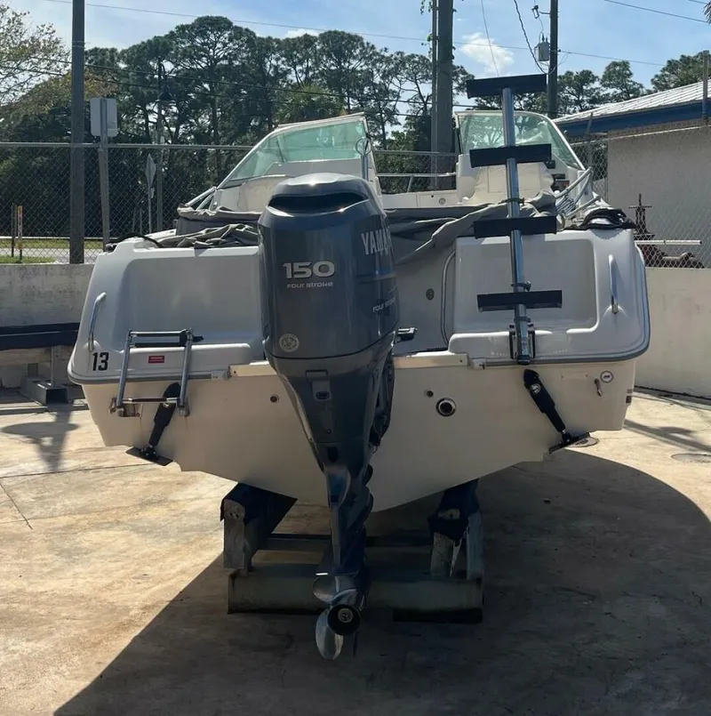 Slide: The Image of Cobia 21 2007 - 5502058