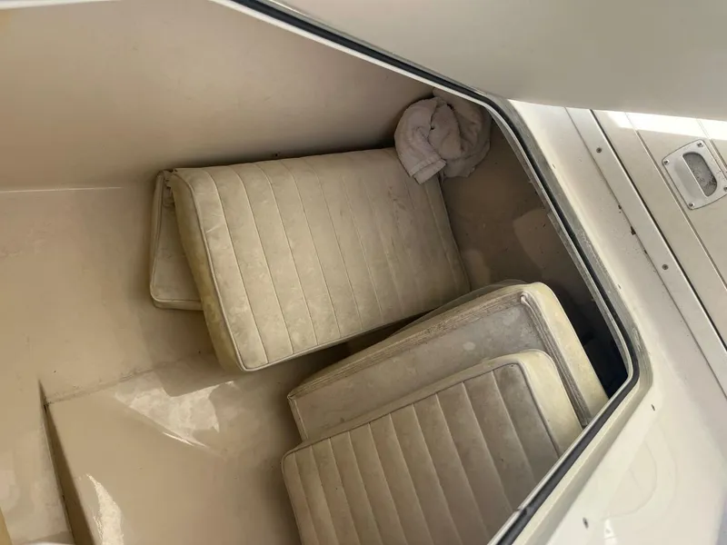 Slide: The Image of Cobia 21 2007 - 5502060