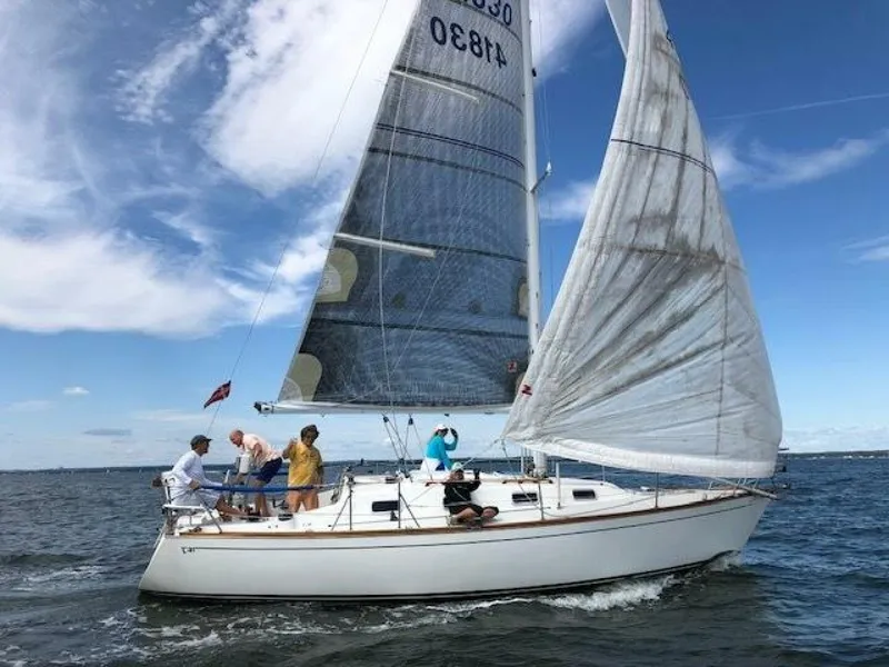 The Image of Tartan 31 1988 - 5503242