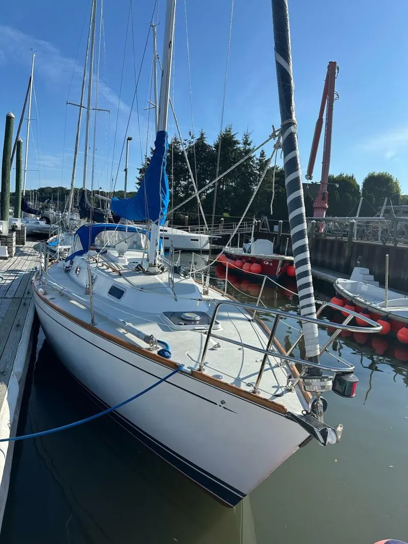 Slide: The Image of Tartan 31 1988 - 5503259