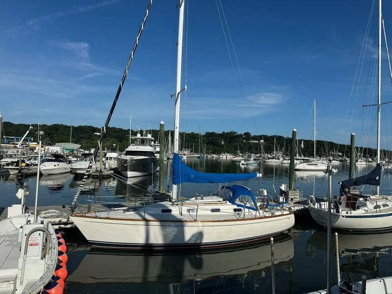 Slide: The Image of Tartan 31 1988 - 5503251