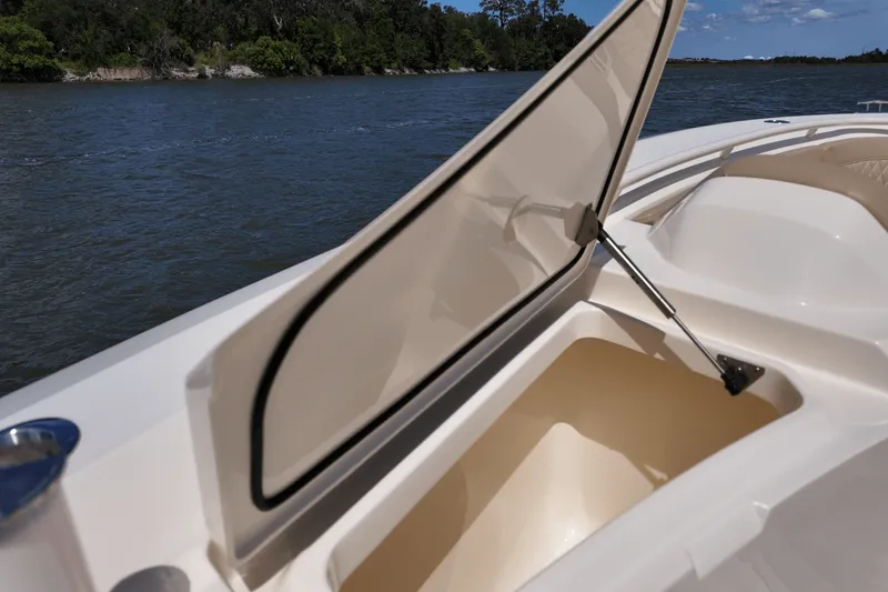 Slide: The Image of Scout 377 LXF 2025 - 14