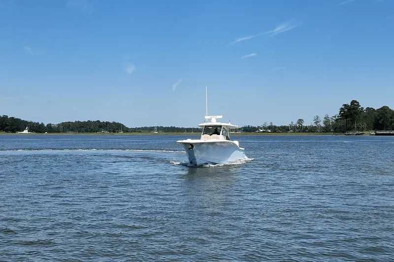 Slide: The Image of Scout 377 LXF 2025 - 2