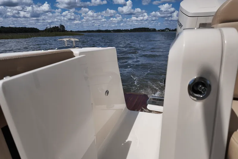 Slide: The Image of Scout 377 LXF 2025 - 29