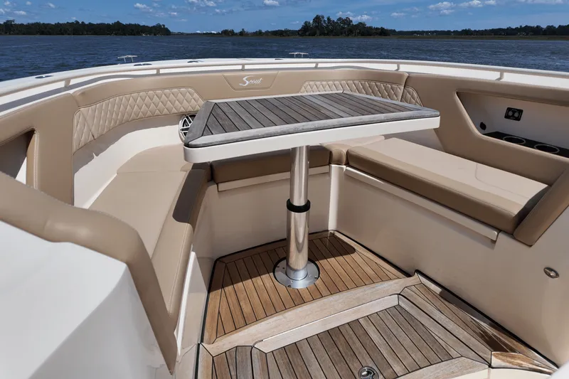 Slide: The Image of Scout 377 LXF 2025 - 46