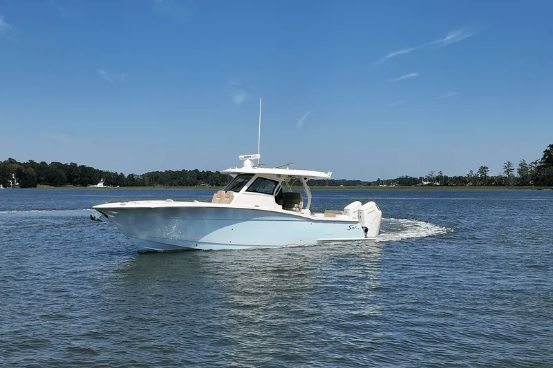 Slide: The Image of Scout 377 LXF 2025 - 6