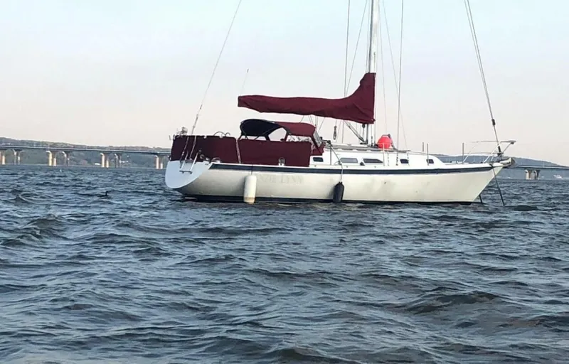 Slide: The Image of Ericson 34 1989 - 5511857