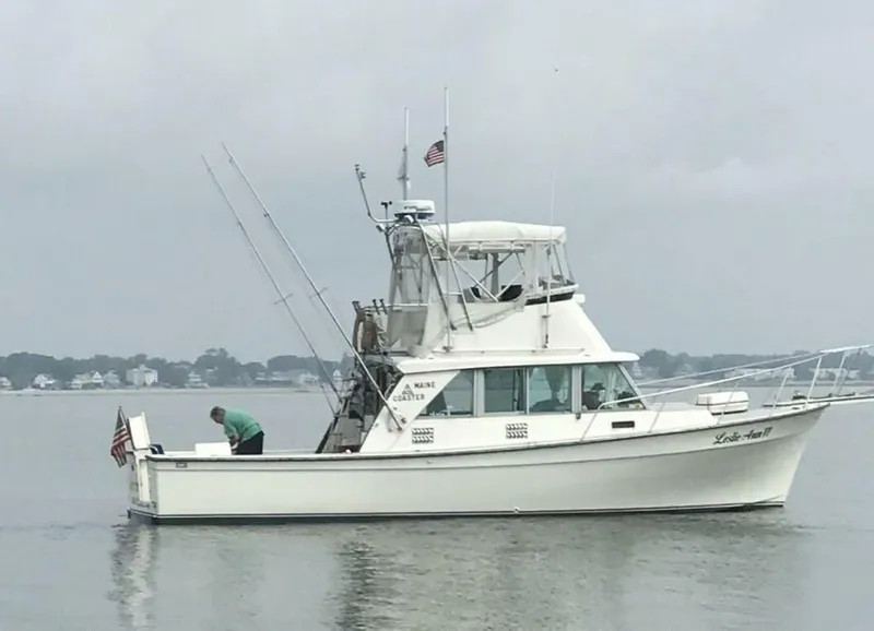 Slide: The Image of Henriques Maine Coaster 1984 - 5512559