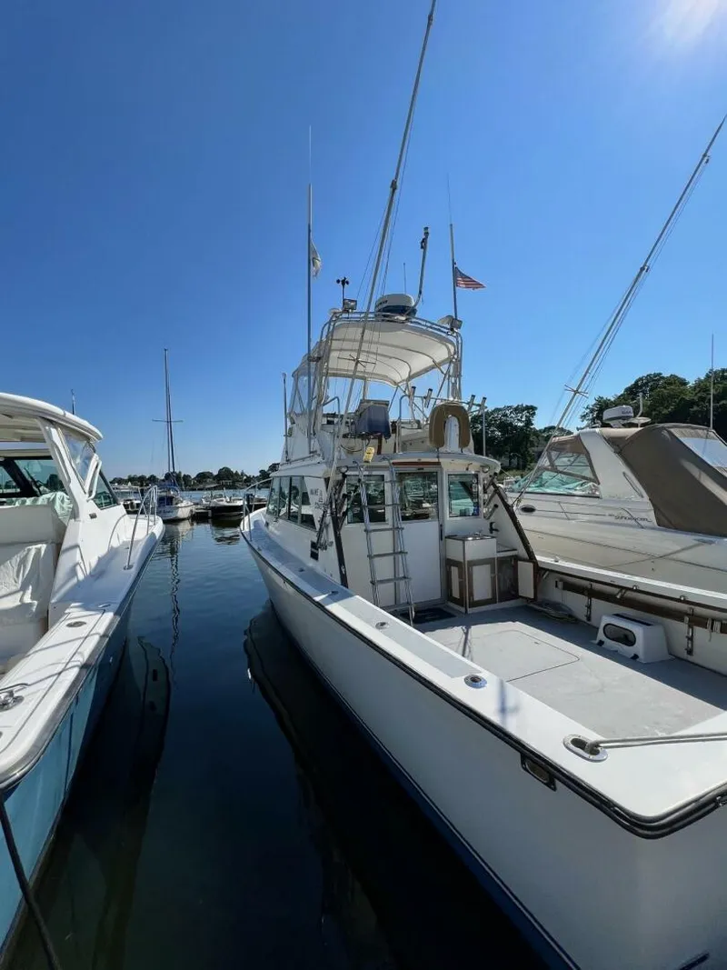 Slide: The Image of Henriques Maine Coaster 1984 - 5512570