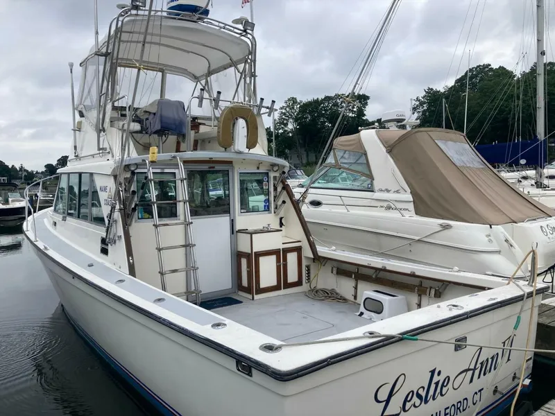 Slide: The Image of Henriques Maine Coaster 1984 - 5512560