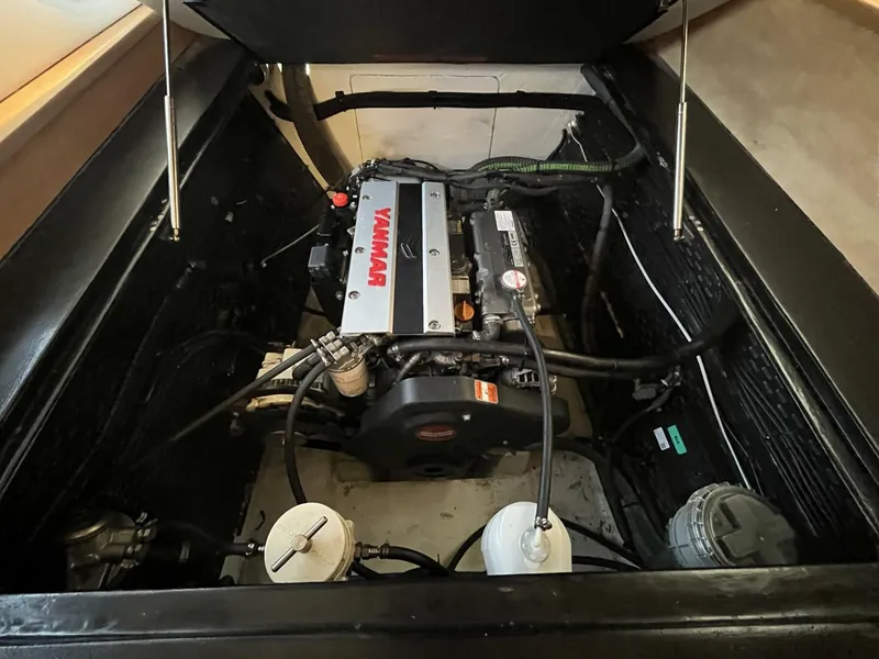 Slide: The Image of Knysna 500se 2021 - 5529554