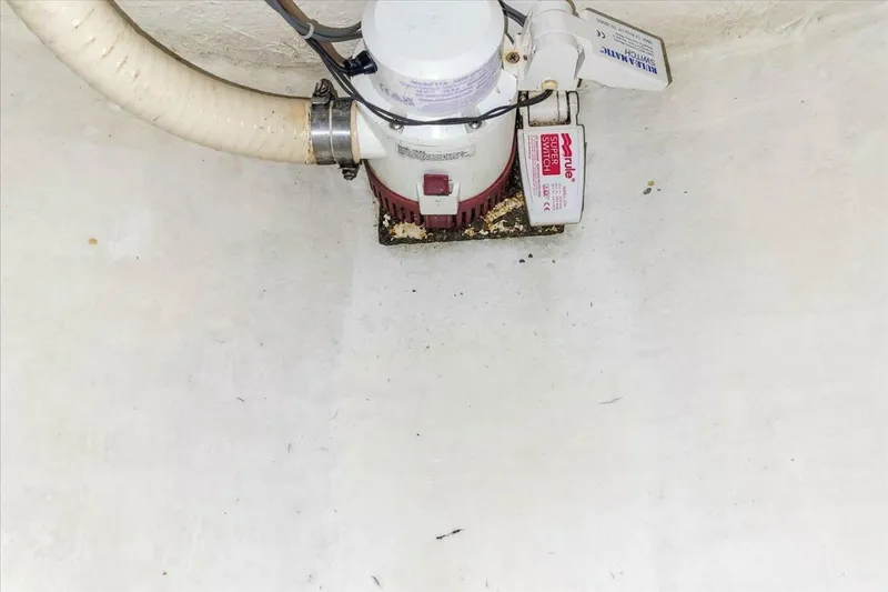 Slide: The Image of Neptunus 56 Flybridge 2004 - 5514101