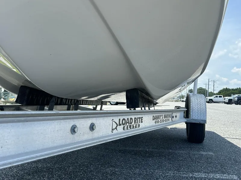 Slide: The Image of Carolina 19 2022 - 5551203