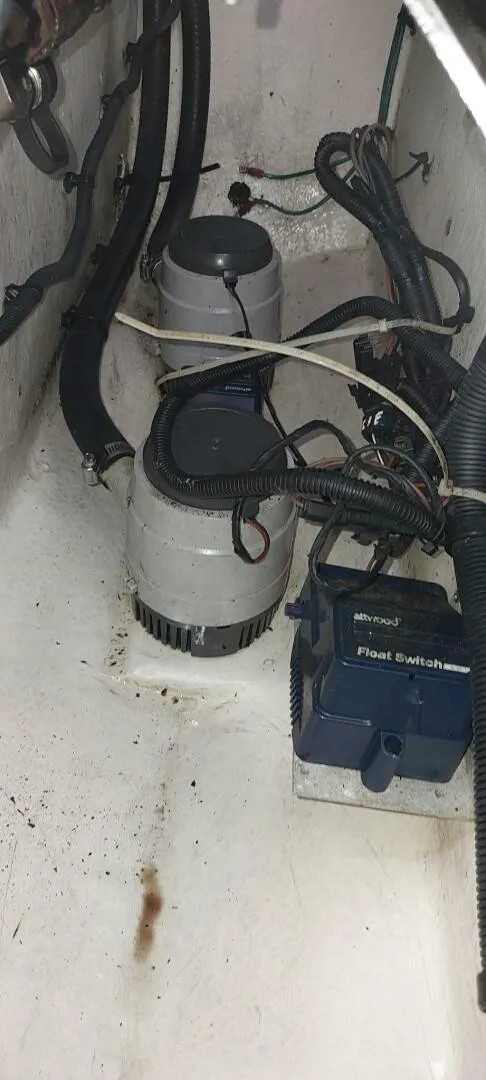 Slide: The Image of Sea Ray 37 2009 - 5518945