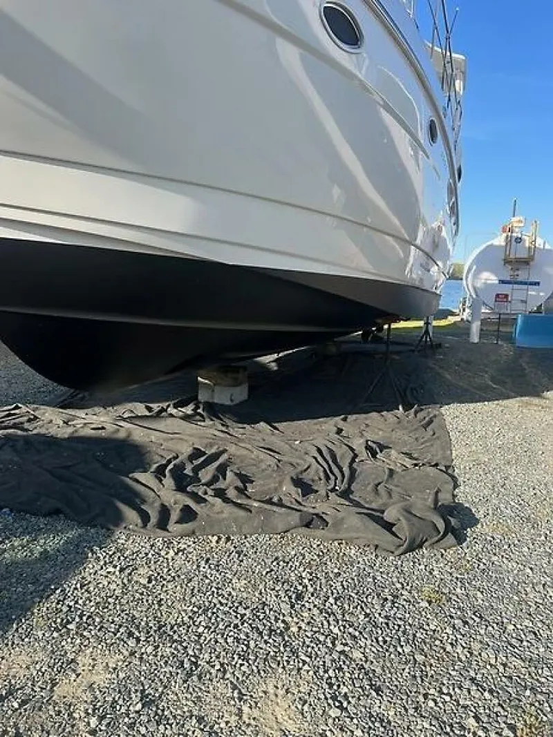 Slide: The Image of 0005298501 - 5520888