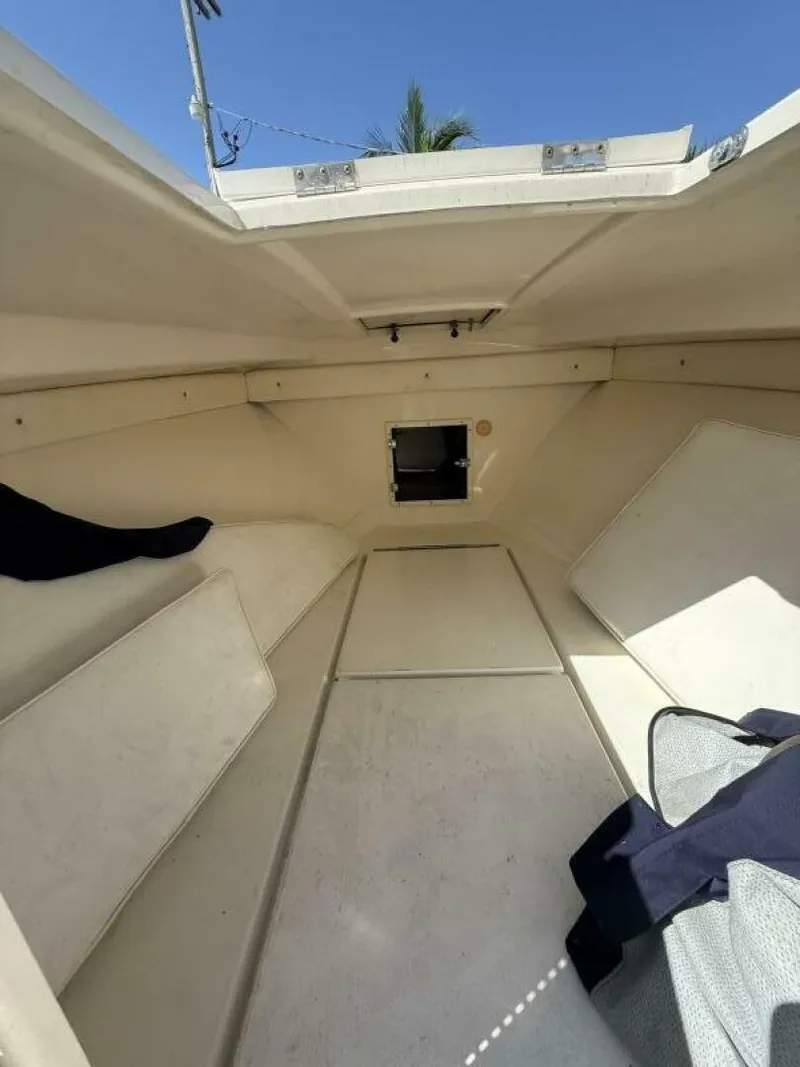 Slide: The Image of IMG_4224 - 5521396