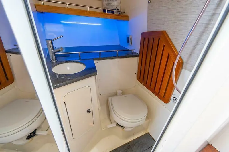 Slide: The Image of 0003993068 - 5521565