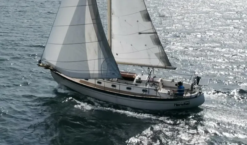 Slide: The Image of Baba 35 1986 - 5573970