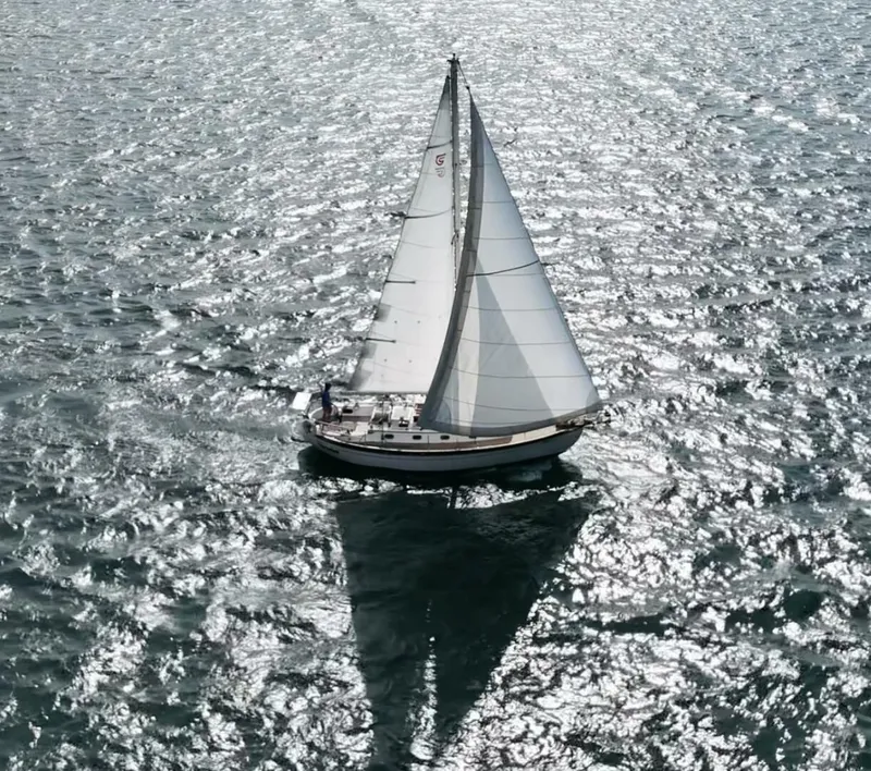 Slide: The Image of Baba 35 1986 - 5573955