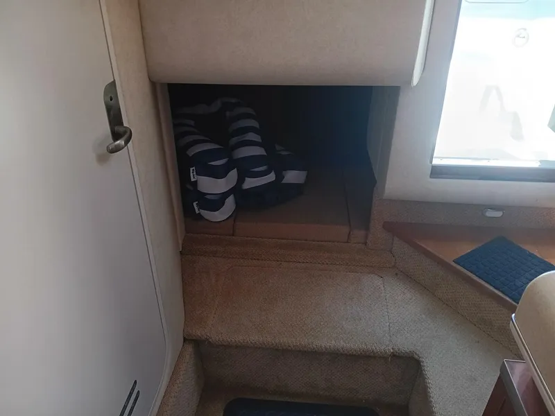 Slide: The Image of Sea Ray 260 Sundancer 2010 - 5526434