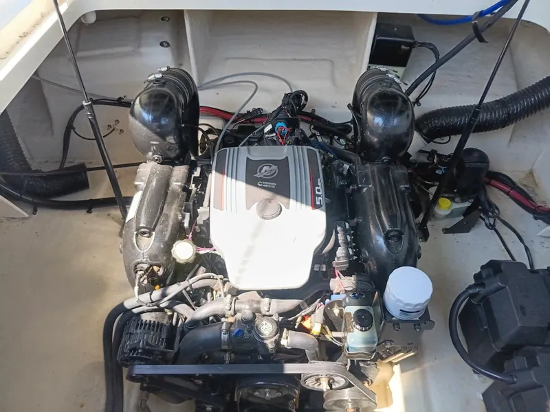 Slide: The Image of Sea Ray 260 Sundancer 2010 - 5526425