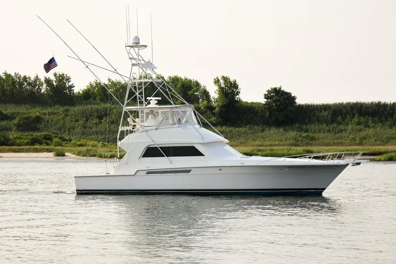 The Image of Bertram 54 Convertible 1997 - 5530618