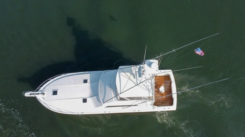 Slide: The Image of Bertram 54 Convertible 1997 - 5530704