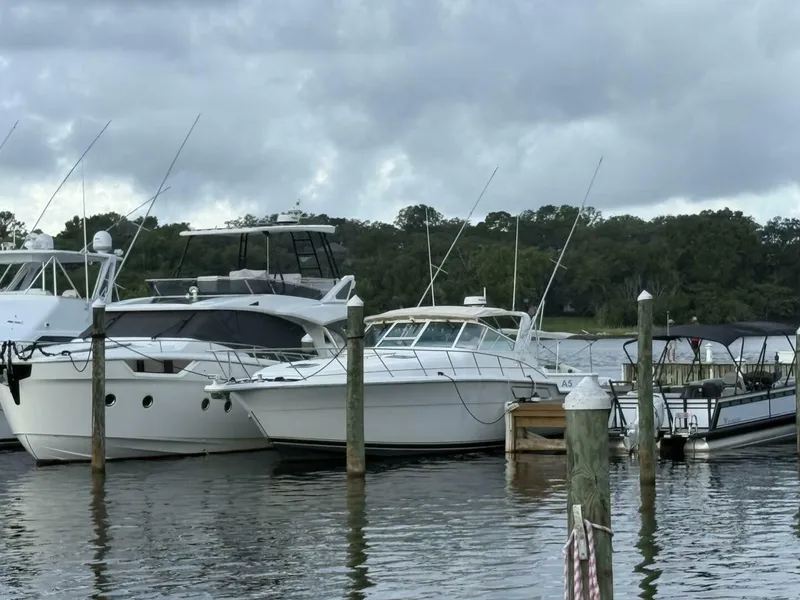 The Image of Tiara 43 Open 1991 - 5529391