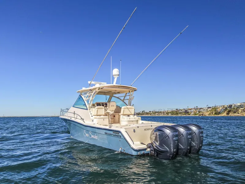 Slide: The Image of 2019 Grady-White 370 Express  - 5962412