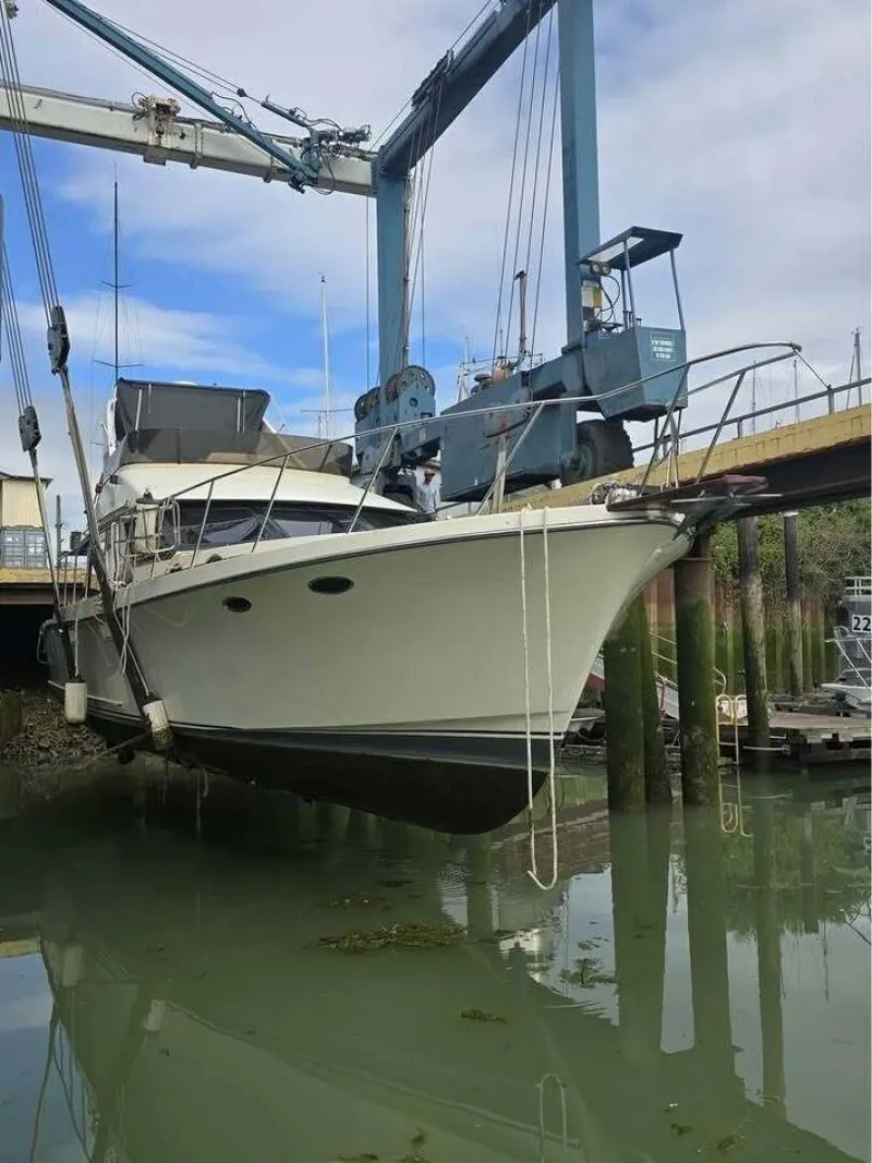 Slide: The Image of Tollycraft EY440 1988 - 5529850