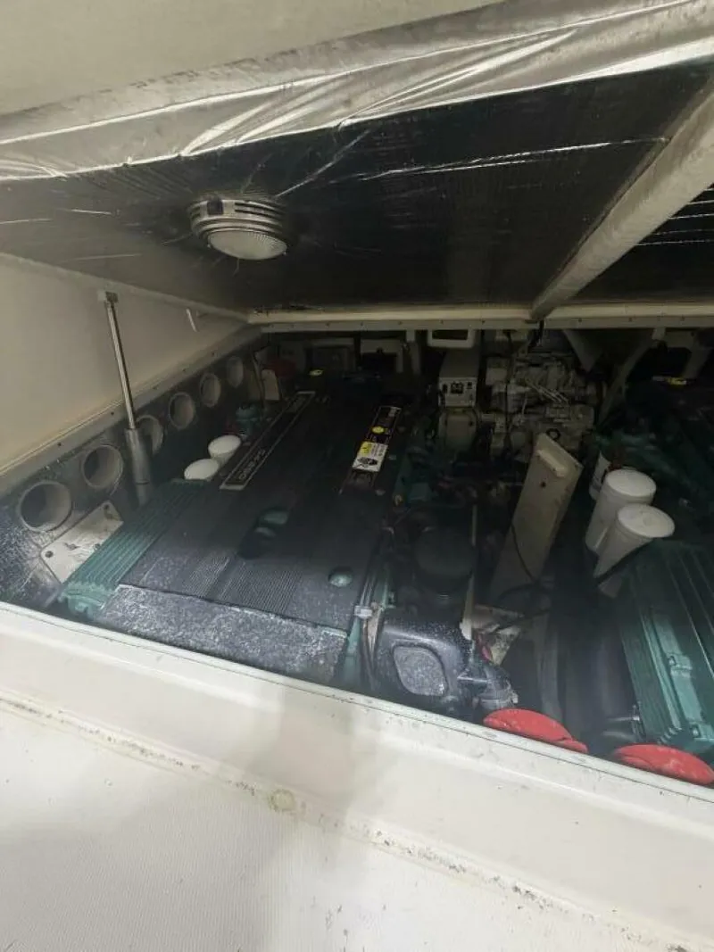 Slide: The Image of Carolina 28 Express 2006 - 5831528