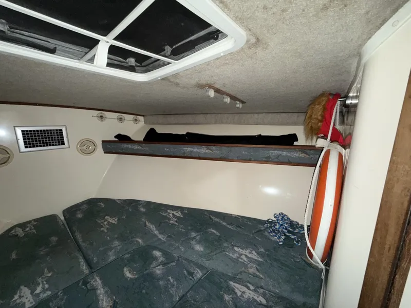 Slide: The Image of Carolina 28 Express 2006 - 6043304