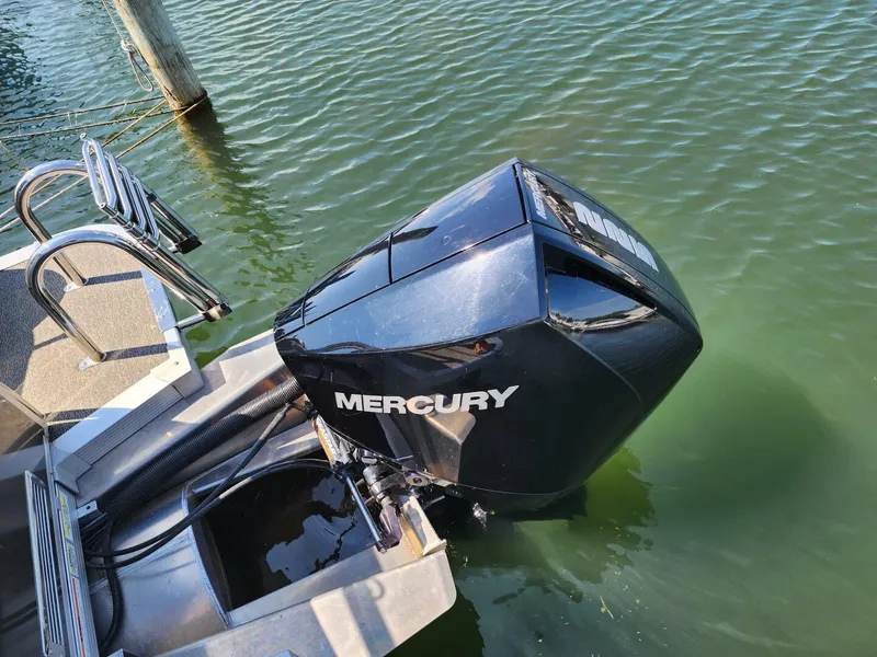 Slide: The Image of Avalon 25 2021 - 5531461