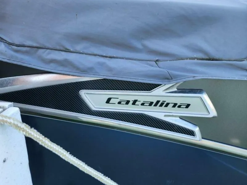 Slide: The Image of Avalon 25 2021 - 5531471