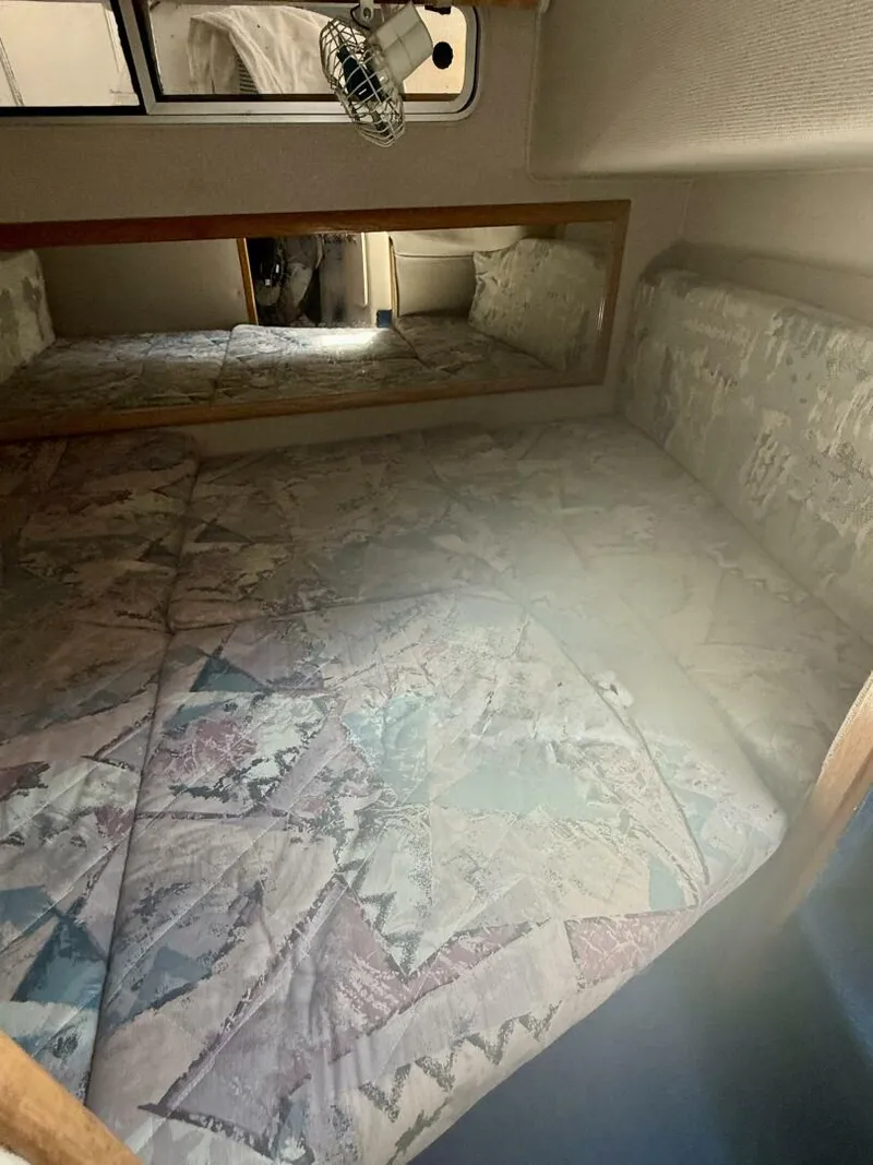 Slide: The Image of Sea Ray 290 Sundancer 1992 - 5531655