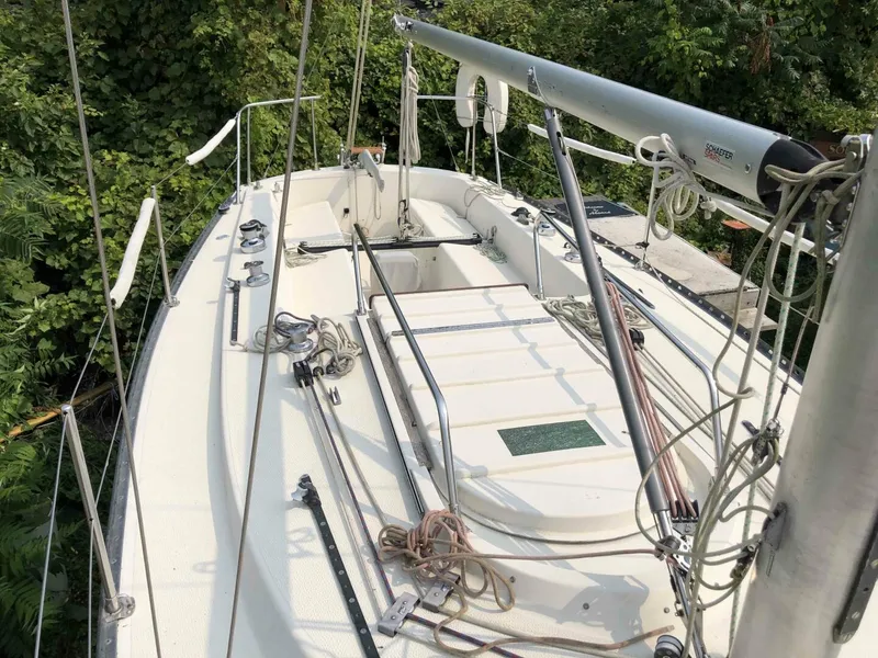 Slide: The Image of Tartan 33 1979 - 5539733