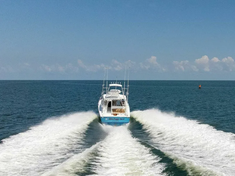 Slide: The Image of Viking 44 Open 2018 - 5535321