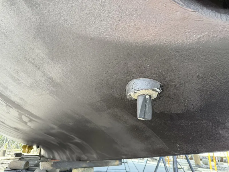 Slide: The Image of Sirena 64 2020 - 5603943