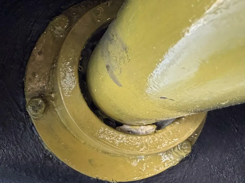 Slide: The Image of Sirena 64 2020 - 5603972