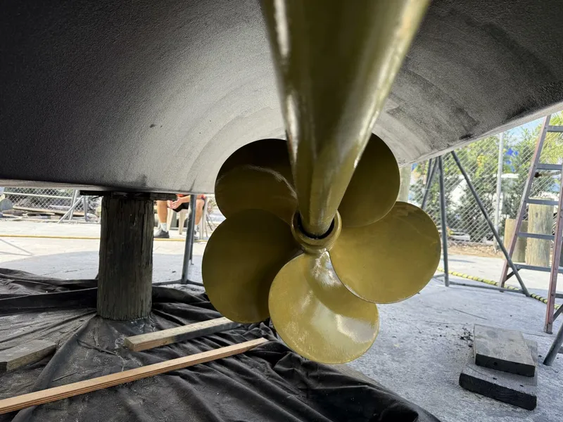 Slide: The Image of Sirena 64 2020 - 5603983