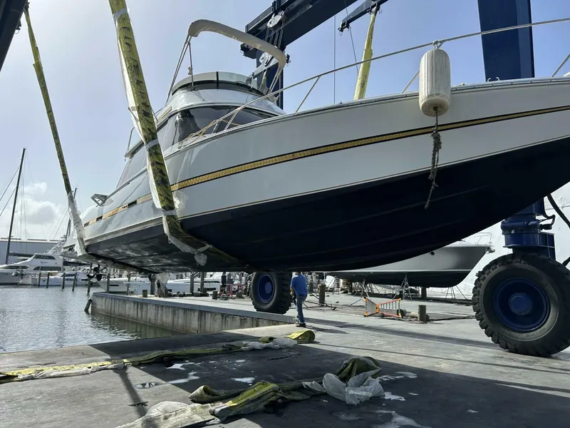 Slide: The Image of Custom 38 Custom 1984 - 5586619