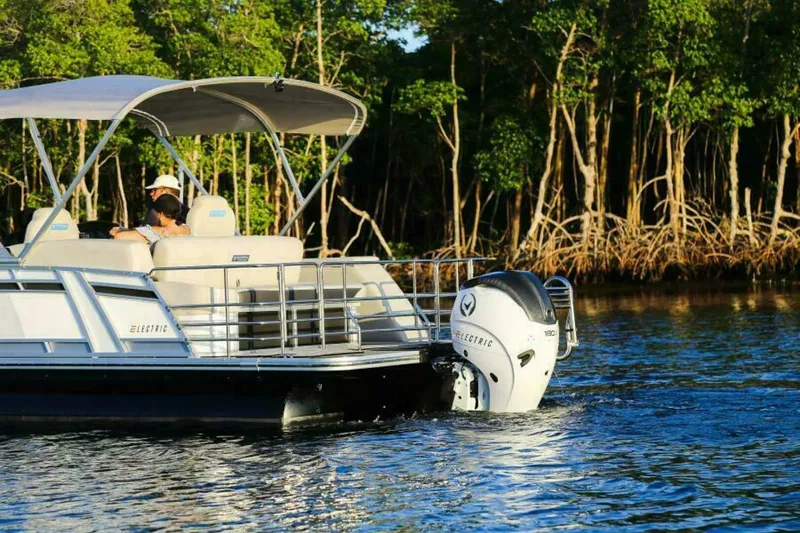 Slide: The Image of Vision V24 2025 - 5536439