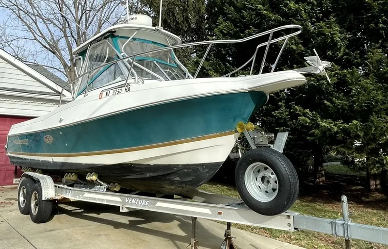 Slide: The Image of Aquasport 250 Explorer 2001 - 7528631