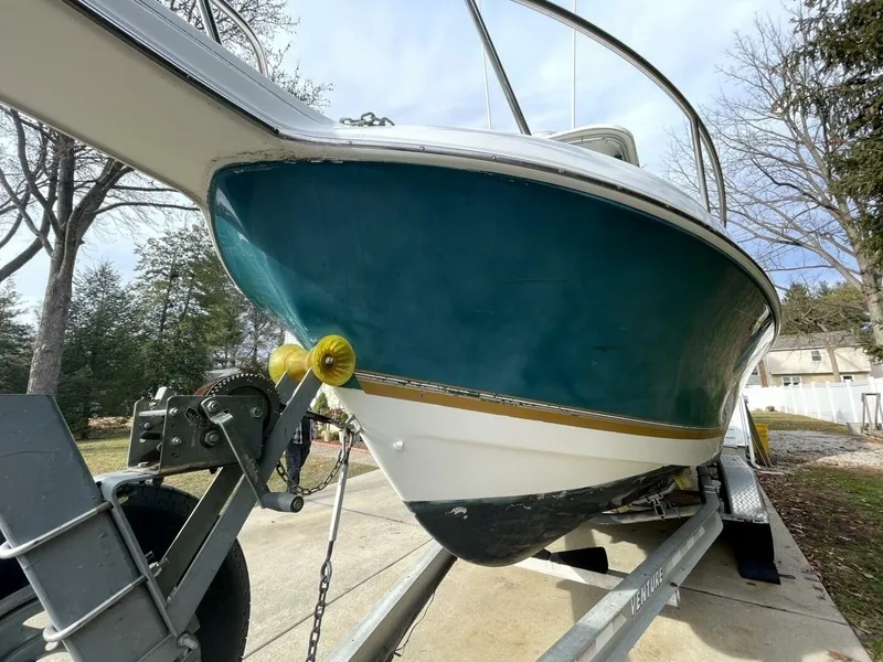 Slide: The Image of Aquasport 250 Explorer 2001 - 7528642