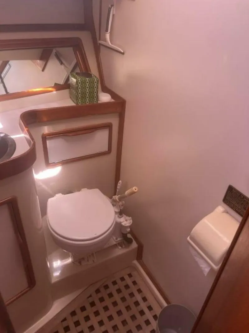 Slide: The Image of Head - 5538175