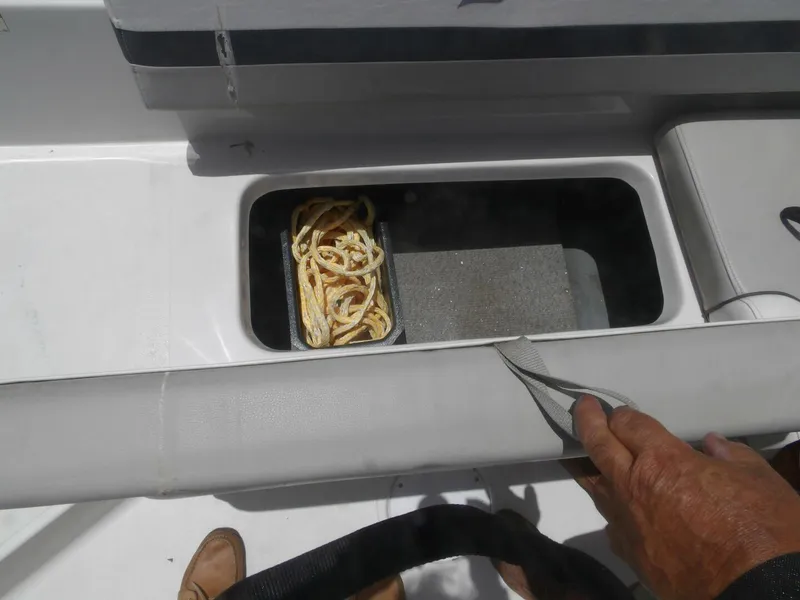 Slide: The Image of Starcraft 211SVX 2022 - 5538940