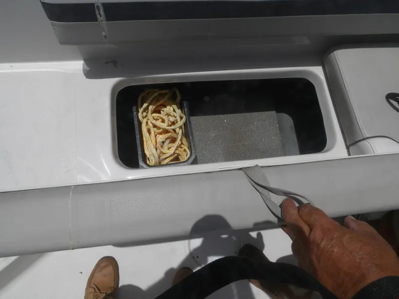 Slide: The Image of Starcraft 211SVX 2022 - 5538941